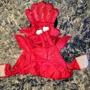 Dog lobster halloween costume